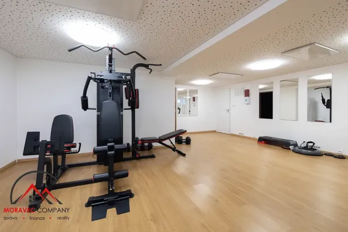 Pronájem bytu 2+1, Ostrava, Cihelní, 60 m2