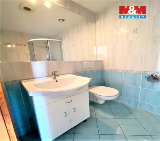 Pronájem bytu 1+kk, Praha - Hloubětín, Milovická, 20 m2