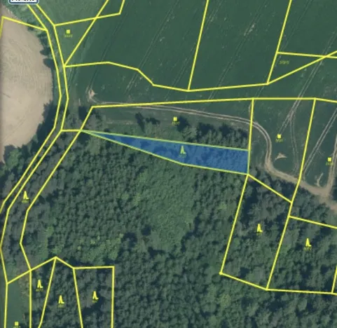Prodej lesa, Čepřovice, 982 m2
