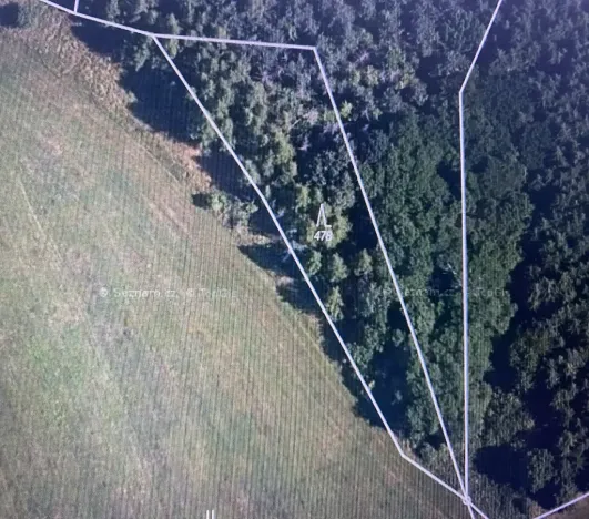 Prodej lesa, Čepřovice, 1644 m2