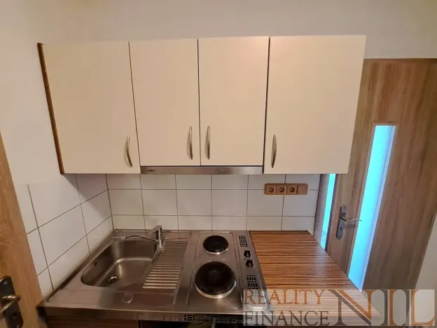 Pronájem bytu 1+kk, Plzeň, U Borského parku, 21 m2