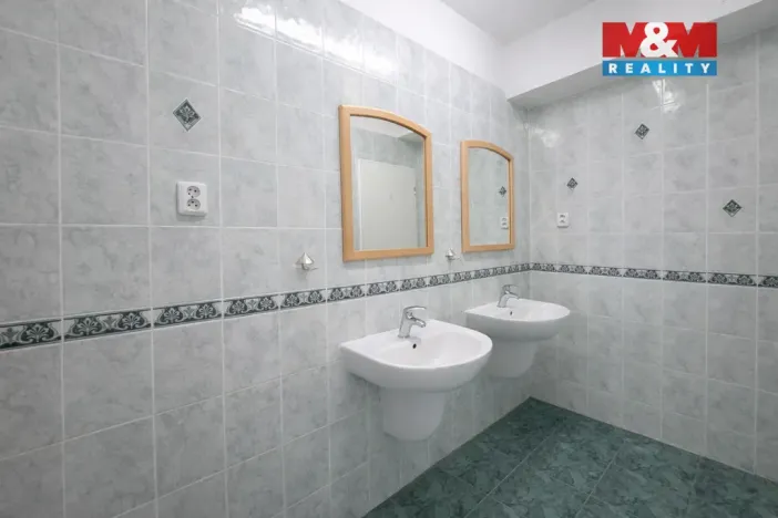 Pronájem obchodního prostoru, Teplice, Dubská, 460 m2