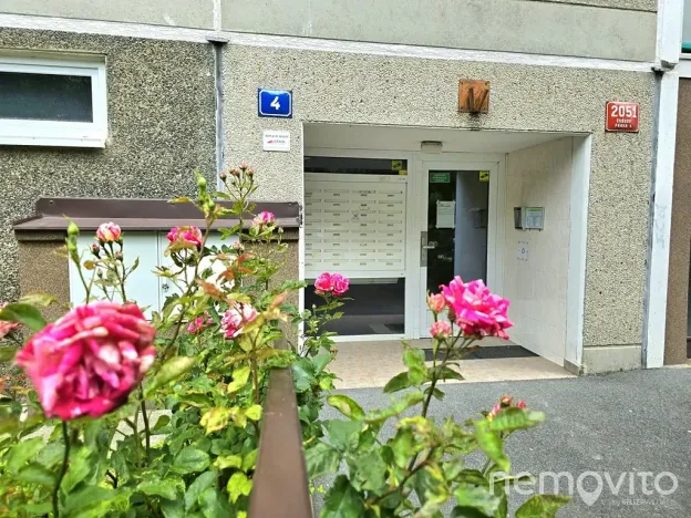 Prodej bytu 1+kk, Praha - Chodov, Samohelova, 29 m2