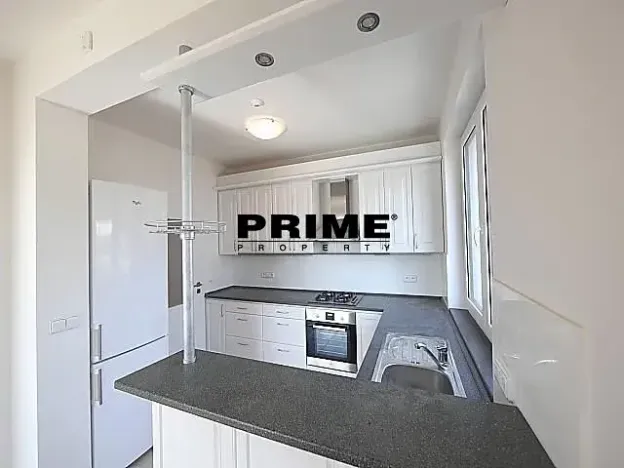 Pronájem rodinného domu, Průhonice, Pod Valem II., 280 m2