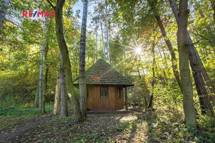 Prodej lesa, Praha - Malá Chuchle, 17570 m2