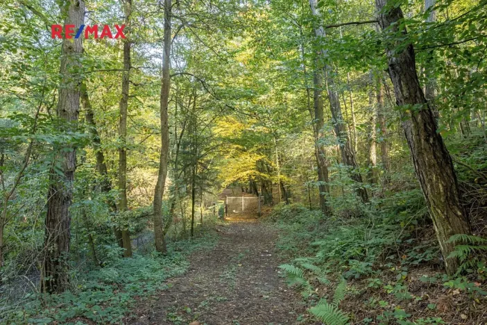 Prodej lesa, Praha - Malá Chuchle, 17570 m2