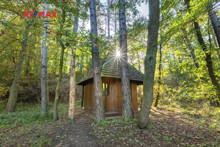 Prodej lesa, Praha - Malá Chuchle, 17570 m2