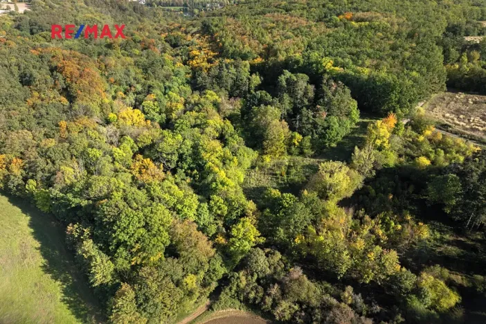 Prodej lesa, Praha - Malá Chuchle, 17570 m2