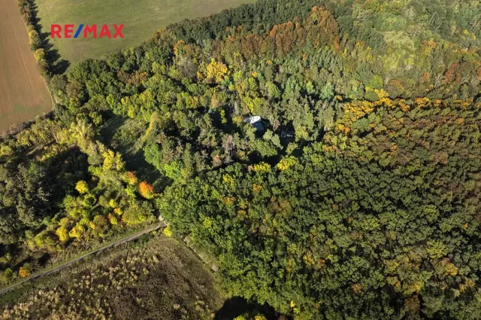 Prodej lesa, Praha - Malá Chuchle, 17570 m2