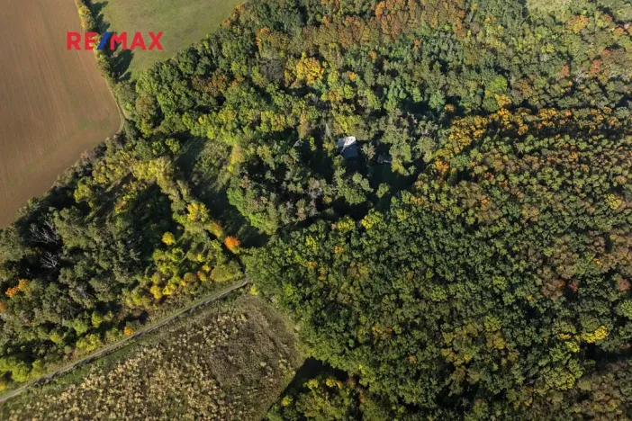 Prodej lesa, Praha - Malá Chuchle, 17570 m2