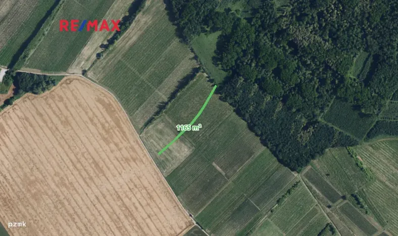 Prodej sadu/vinice, Josefov, 1165 m2