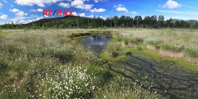 Prodej rodinného domu, Volary, K. V. Raise, 392 m2