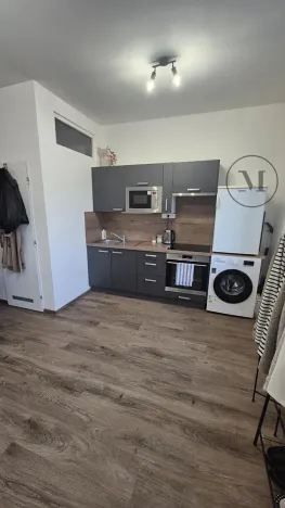 Pronájem bytu 1+kk, České Budějovice, Reinerova, 18 m2