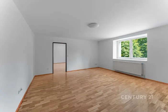 Prodej vícegeneračního domu, Kamýk nad Vltavou, 320 m2