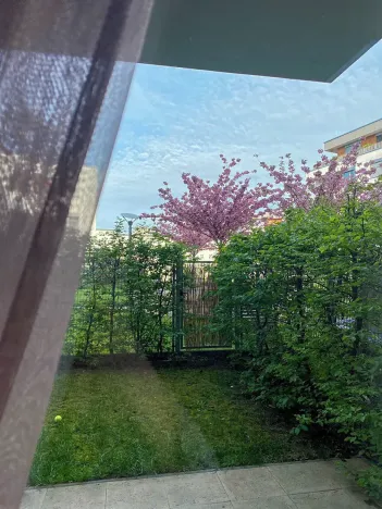 Pronájem bytu 2+kk, Praha - Hloubětín, Krylovecká, 55 m2