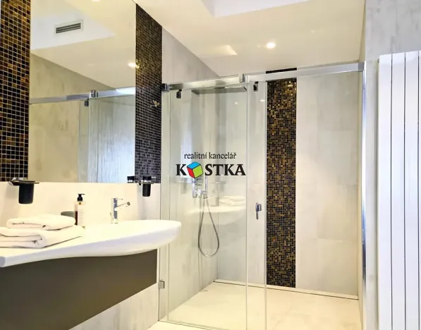 Pronájem bytu 3+kk, Příbor, Místecká, 154 m2