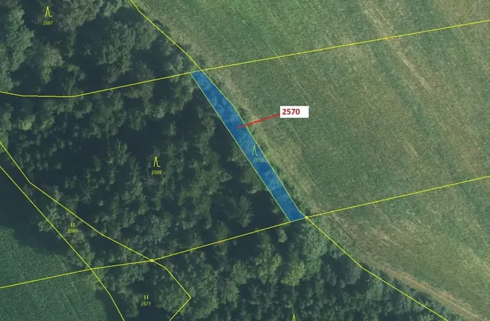 Dražba lesa, Písečná, 447 m2