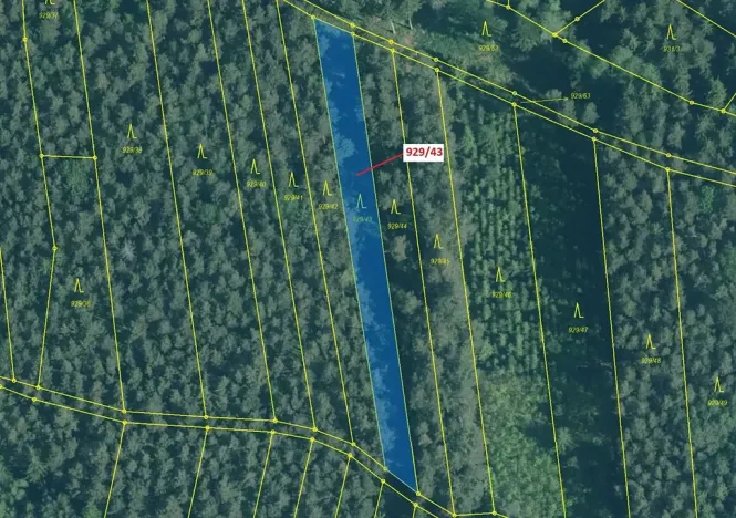 Dražba lesa, Hosty, 1258 m2