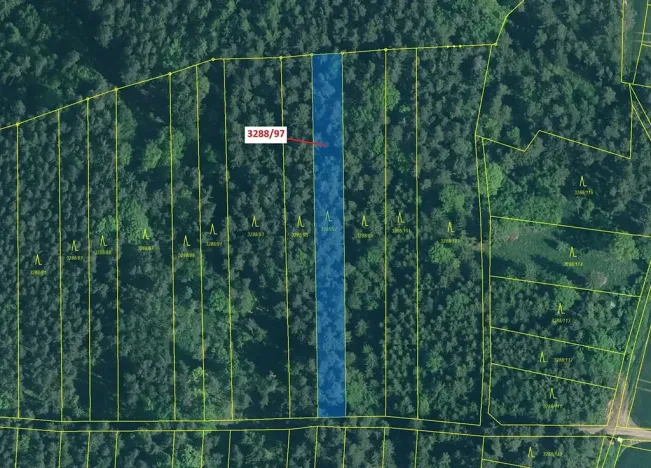 Dražba lesa, Hosty, 1729 m2