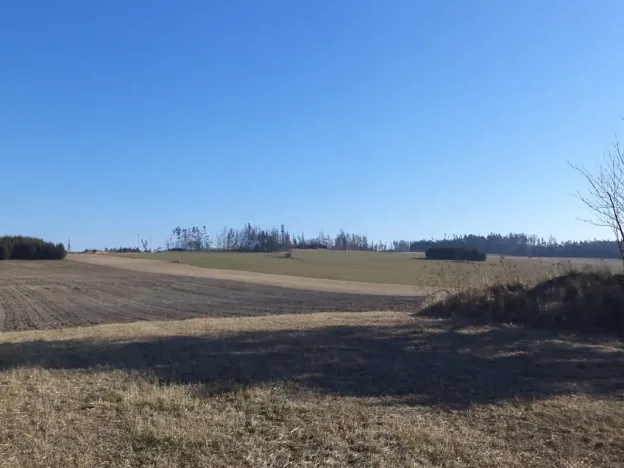 Dražba louky, Kunžak, 5258 m2