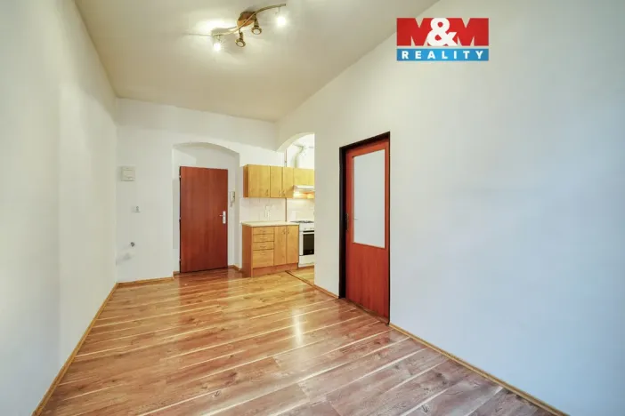 Pronájem bytu 2+kk, Plzeň - Východní Předměstí, Koterovská, 33 m2