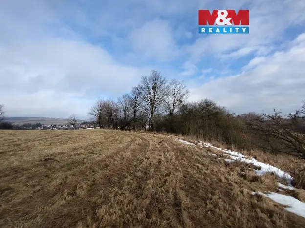 Prodej louky, Budišov nad Budišovkou, 6470 m2