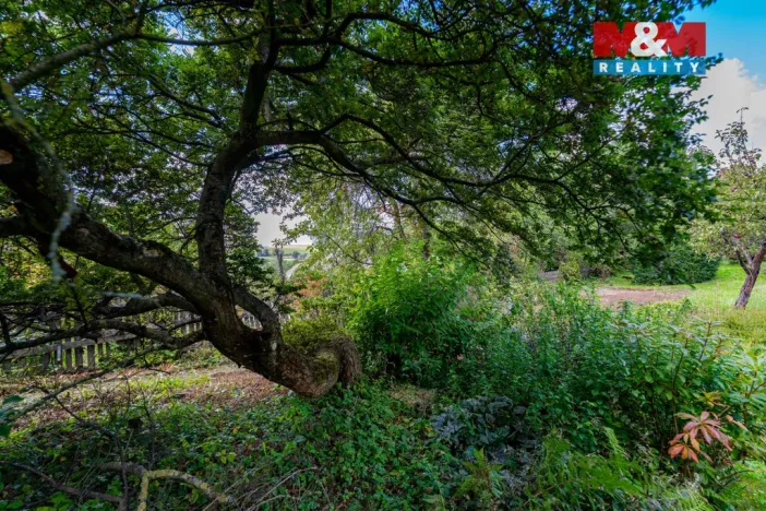 Prodej chaty, Nové Město na Moravě, 28 m2