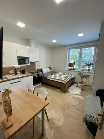 Pronájem bytu 1+kk, Zlín, Štefánikova, 30 m2