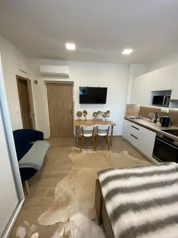 Pronájem bytu 1+kk, Zlín, Štefánikova, 30 m2