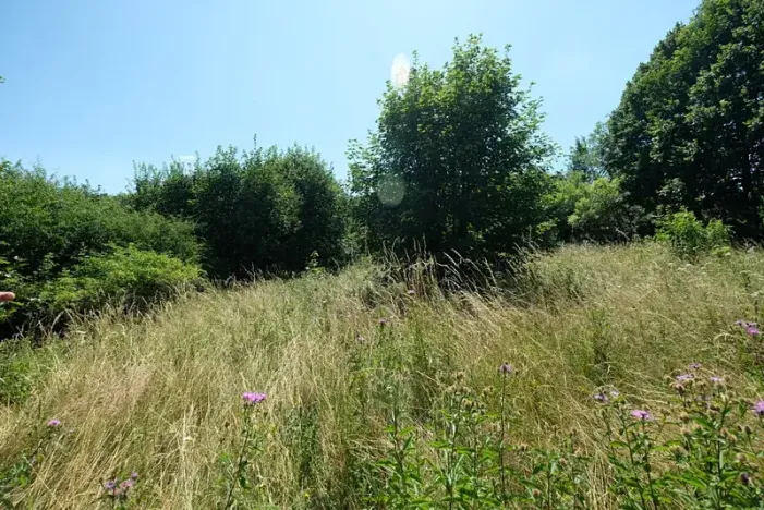 Prodej louky, Vyškovec, 4953 m2