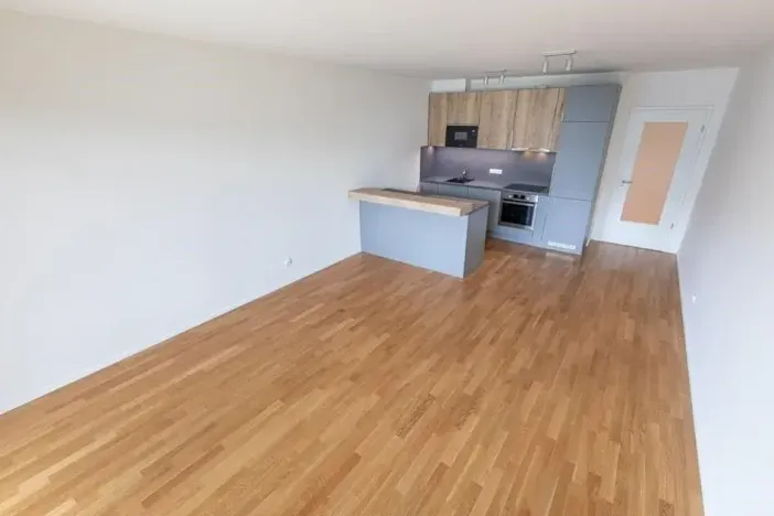 Prodej bytu 3+kk, Praha - Žižkov, Seifertova, 78 m2