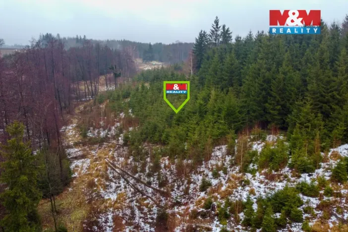 Prodej lesa, Česká Bělá, 1126 m2