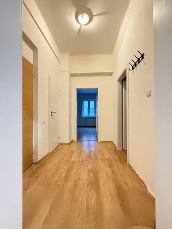 Prodej bytu 1+1, Plzeň, Tělocvičná, 47 m2