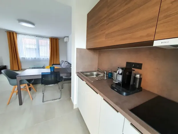 Prodej vícegeneračního domu, Pasohlávky, 320 m2