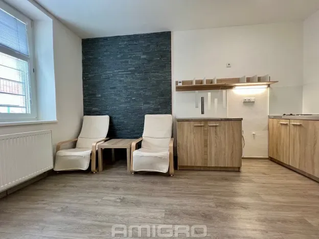 Pronájem bytu 1+kk, Brno, Životského, 24 m2