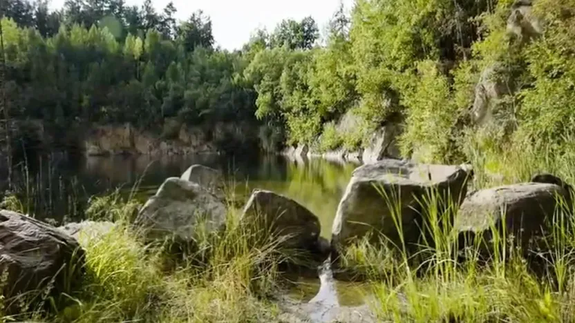 Prodej rybníku, Lipová, 80000 m2