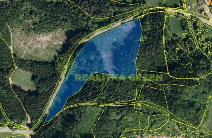 Prodej lesa, Zlín, 26699 m2