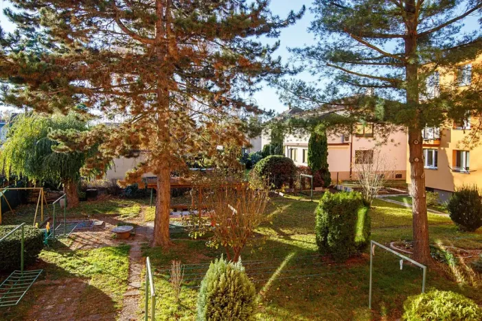 Pronájem bytu 2+kk, Ostrava, Letecká, 52 m2