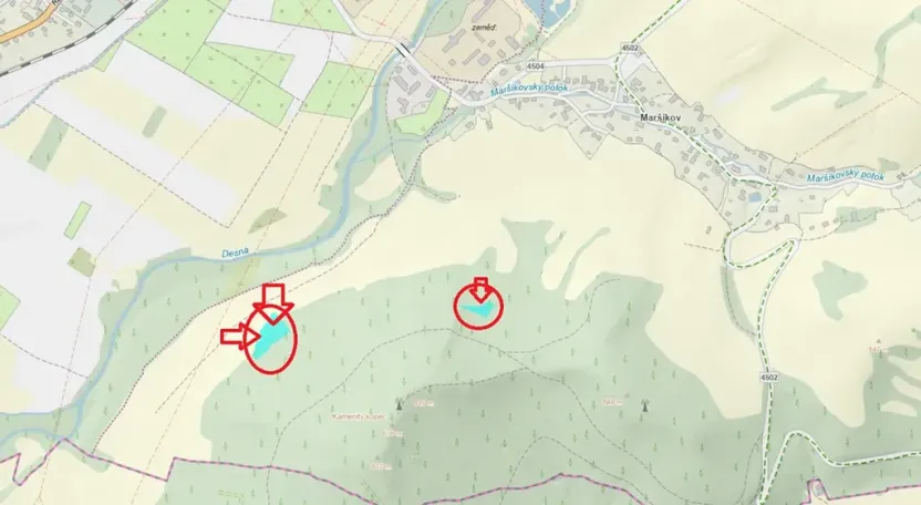 Prodej lesa, Velké Losiny, 7690 m2