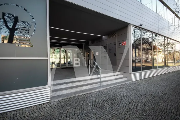 Pronájem obchodního prostoru, Praha - Holešovice, Jankovcova, 291 m2