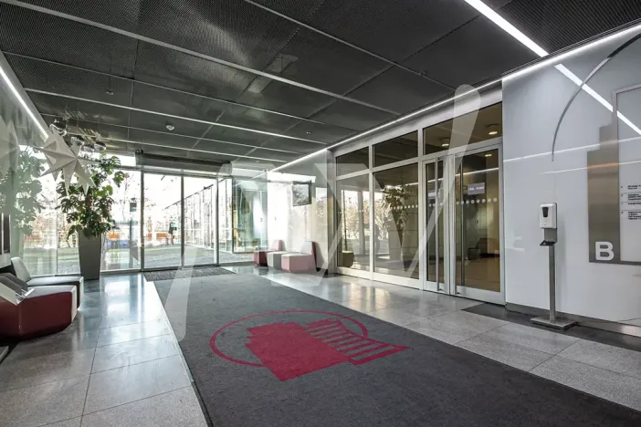 Pronájem obchodního prostoru, Praha - Holešovice, Jankovcova, 291 m2