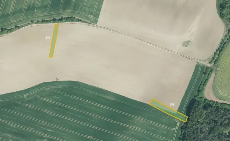 Prodej podílu louky, Honětice, 9179 m2