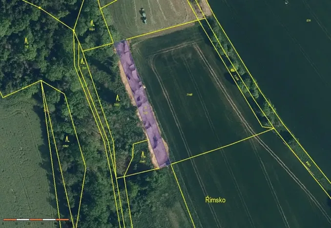 Prodej louky, Svijanský Újezd, 940 m2