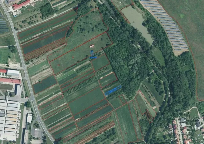 Prodej pozemku, Velká nad Veličkou, 258 m2