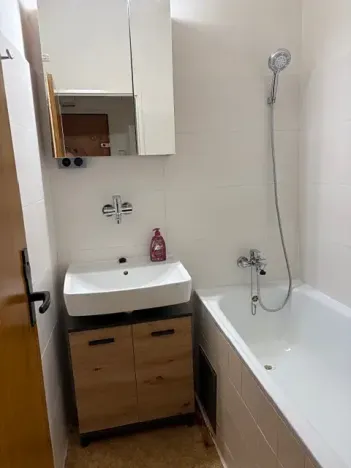 Pronájem bytu 2+1, Praha, U družstva Repo, 54 m2