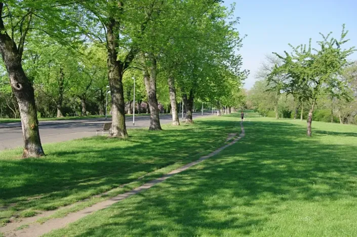 Pronájem bytu 2+kk, Praha - Žižkov, Buchovcova, 47 m2