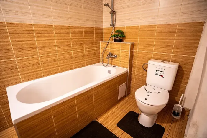 Prodej vícegeneračního domu, Hostinné, Dolní brána, 255 m2