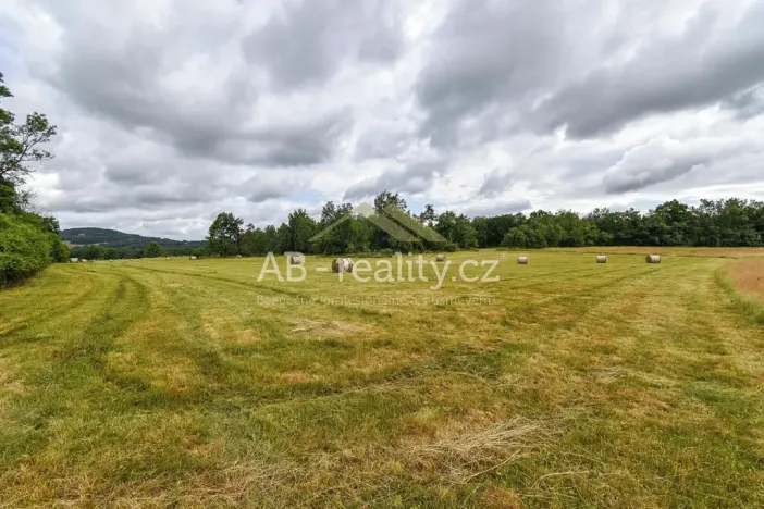 Prodej louky, Úštěk, 131865 m2