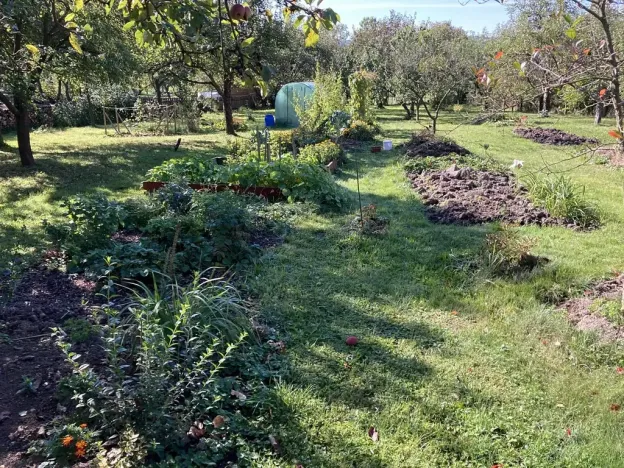 Prodej chalupy, Orlické Podhůří, 267 m2