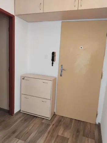 Pronájem bytu 1+1, Plzeň, Ořechová, 36 m2